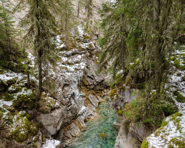 Johnston Canyon, em, parque nacional banff, alberta, canadá