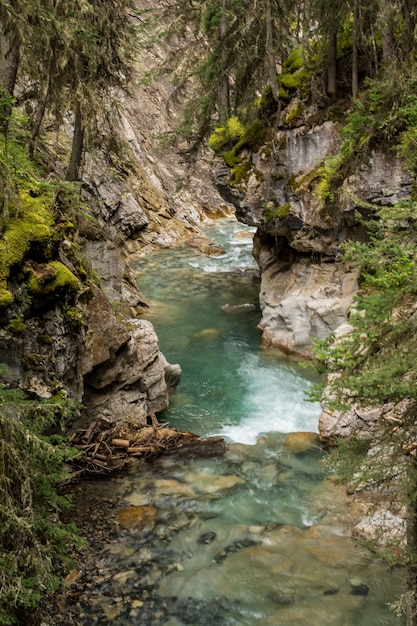 Johnston Canyon Falls, Alberta, Kanada. Wasserfall am Johnston Canyon in Banff. schöner kleiner Wasserfall in der Schlucht