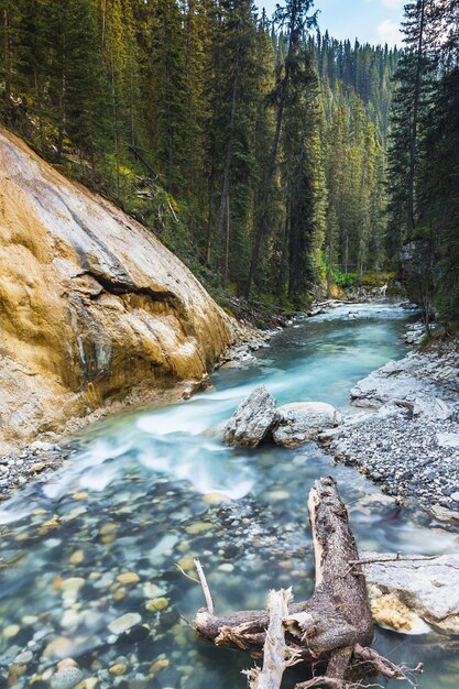 Johnston Canyon River bei Banff, Kanada