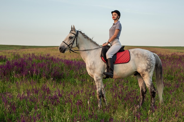 Jóquei amazona em uniforme a cavalo ao ar livre. Pôr do sol. Cavalgando. Concorrência. Passatempo