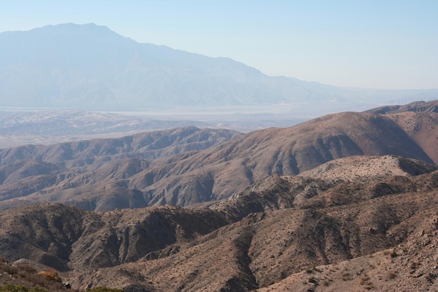 Joshua tree nationalpark kalifornien