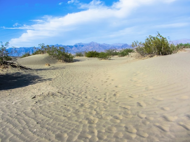 Joshua Tree Nationalpark, Mojave-Wüste, Kalifornien