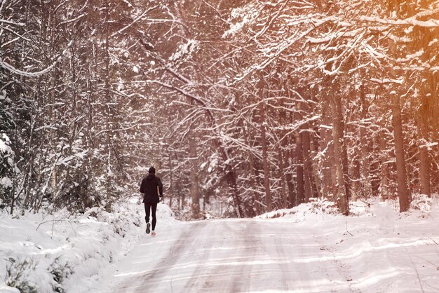Jovem adulta sozinha caminhando lentamente após a queda de neve Atmosfera pacífica no dia de inverno Desfrutando de ar fresco no parque Vista traseira