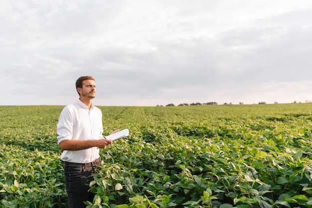 Jovem agricultor arquivado examinando corp de soja. ele está com o polegar levantado.