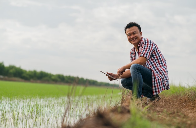 Jovem agricultor asiático e arrozal