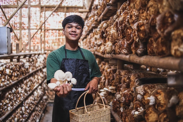 Jovem agricultor asiático vestindo avental e segurando um saco de vime enquanto mostra cogumelo ostra para o camer