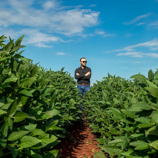 Jovem agricultor de chapéu no campo de soja.