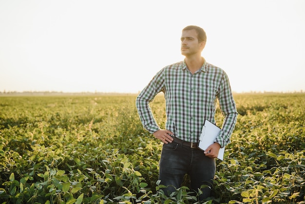 Jovem agricultor em campos de soja