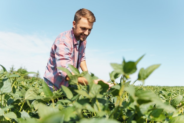 Jovem agricultor em campos de soja