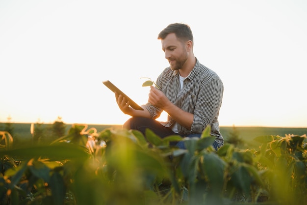 Jovem agricultor em campos de soja