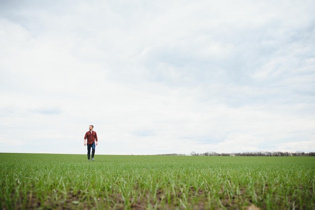 Jovem agricultor fica no campo verde verificando e esperando a colheita crescer