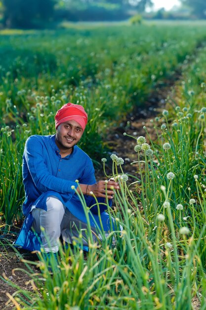 Jovem agricultor indiano em campo de agricultura de cebola