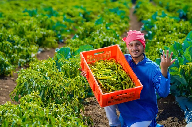 Jovem agricultor indiano em campo verde e frio