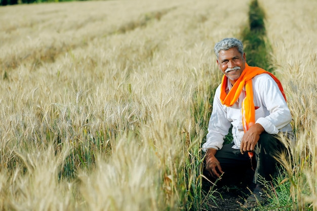 Jovem agricultor indiano em seu campo de trigo