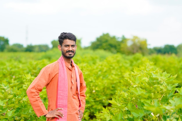 Jovem agricultor indiano no campo de agricultura de algodão