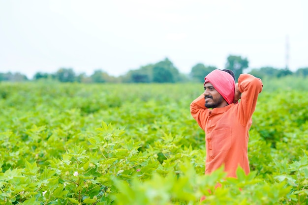 Jovem agricultor indiano no campo de agricultura de algodão