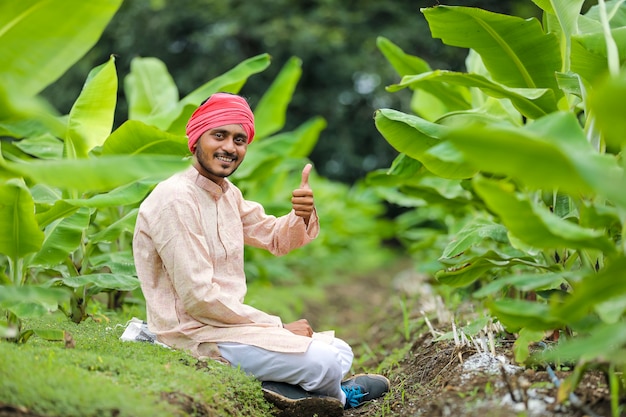 Jovem agricultor indiano no campo de agricultura de banana verde.