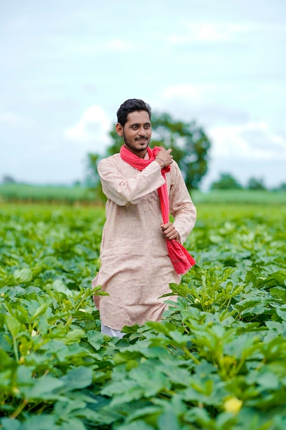 Jovem agricultor indiano no campo de agricultura verde.