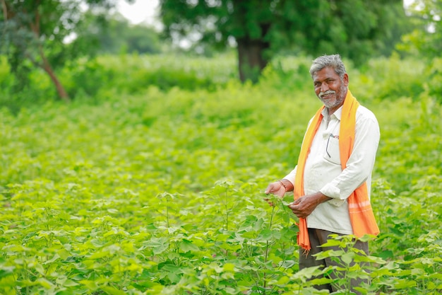 Jovem agricultor indiano no campo de algodão, índia