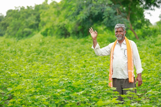 Jovem agricultor indiano no campo de algodão, índia