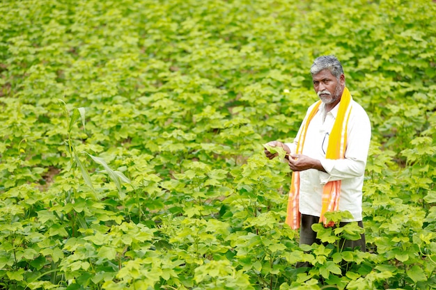 Jovem agricultor indiano no campo de algodão