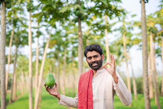 Jovem agricultor indiano no campo de mamão