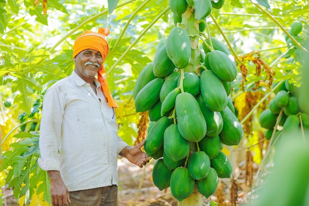 Jovem agricultor indiano no campo de mamão