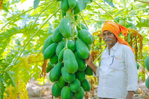 jovem agricultor indiano no campo de mamão