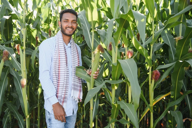 Jovem agricultor indiano no campo de milho