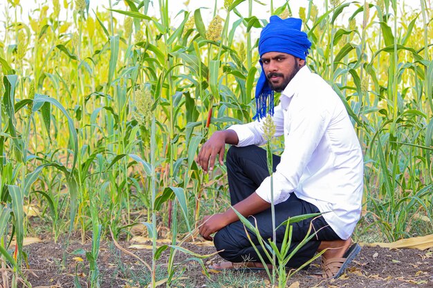 Jovem agricultor indiano no campo de sorgo