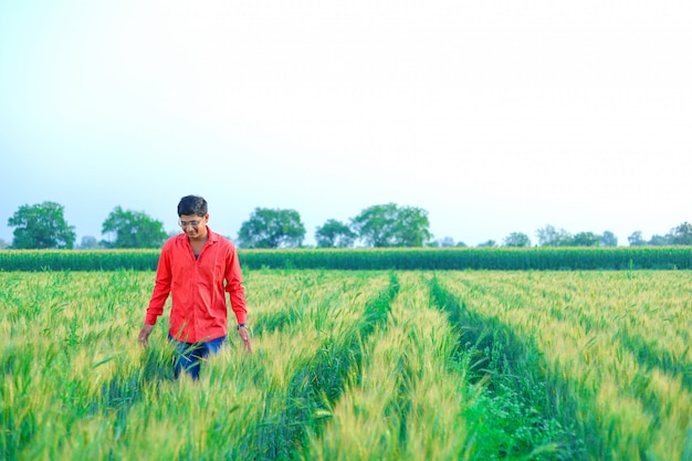 Jovem agricultor indiano no campo de trigo