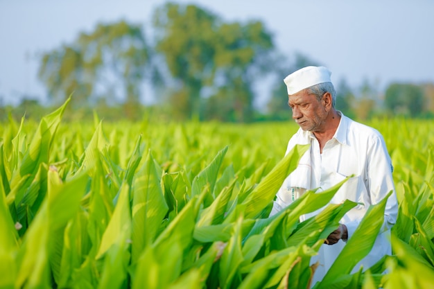 Jovem agricultor indiano no campo