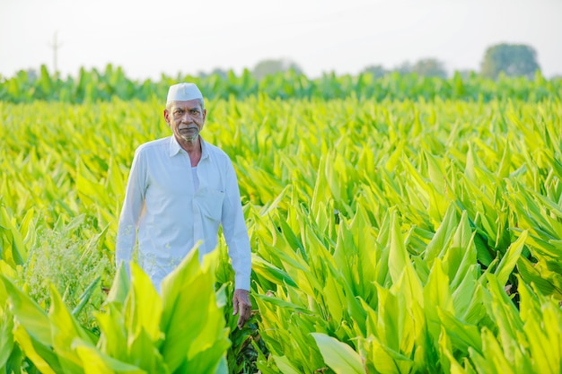 jovem agricultor indiano no campo