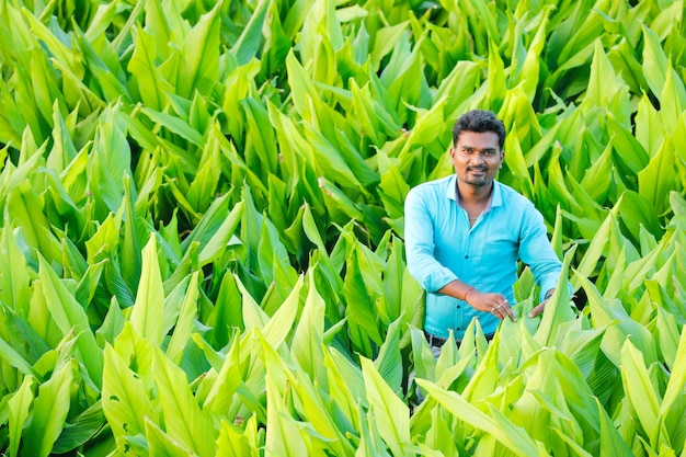 jovem agricultor indiano no campo