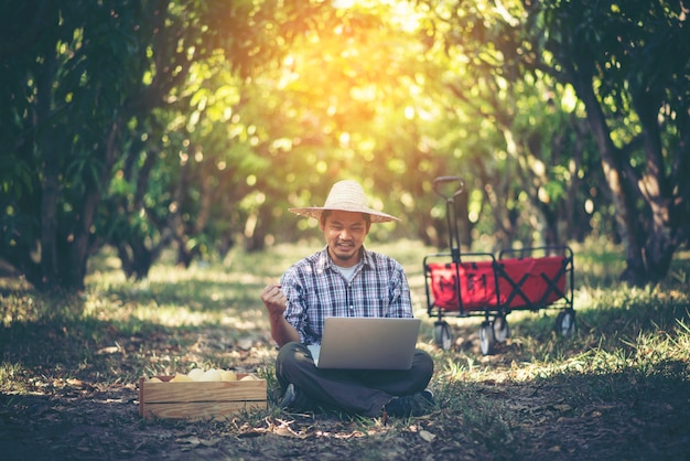 Jovem agricultor inteligente trabalhando com tablet no pomar de manga, conceito de bisiness agrícola