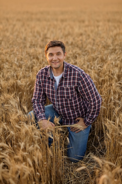 Foto jovem agricultor satisfeito com um cacho de trigo maduro