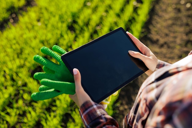 Foto jovem agricultora com um tablet em suas mãos examina o campo verde tecnologias modernas na gestão da agricultura e conceito de agronegócio