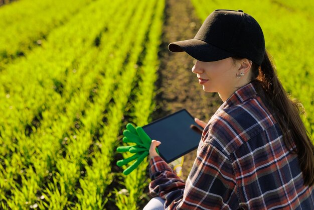 jovem agricultora com um tablet em suas mãos examina o campo verde tecnologias modernas na gestão da agricultura e conceito de agronegócio