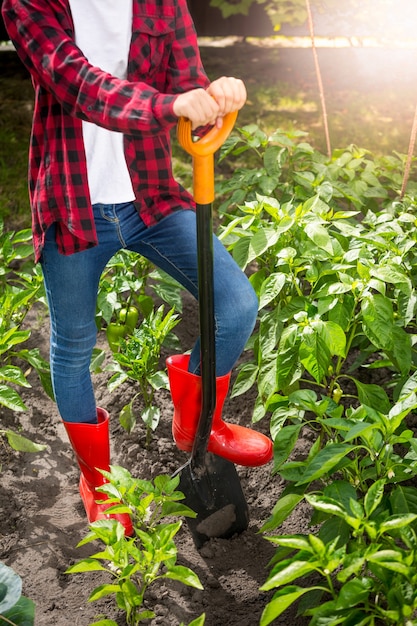 Jovem agricultora posando com uma pá no canteiro em um dia ensolarado