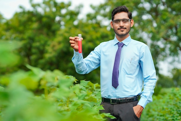 Jovem agrônomo indiano coletando amostra no campo agrícola.