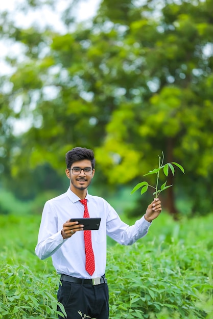 Jovem agrônomo indiano com smartphone em campo