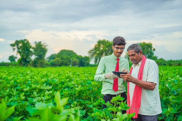 Jovem agrônomo indiano Discutindo com fazendeiro e mostrando algumas informações em tablet