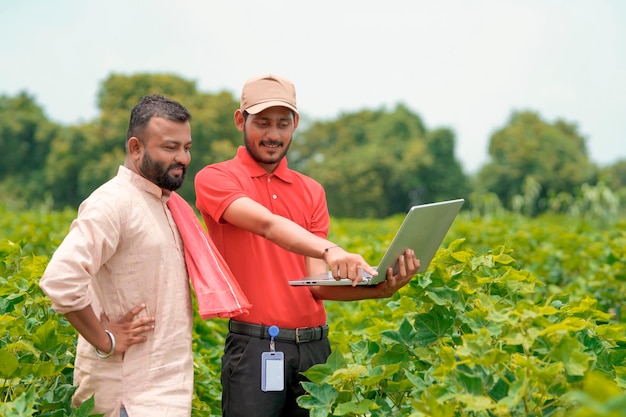 Jovem agrônomo indiano mostrando informações ao agricultor no laptop no campo de agricultura verde.