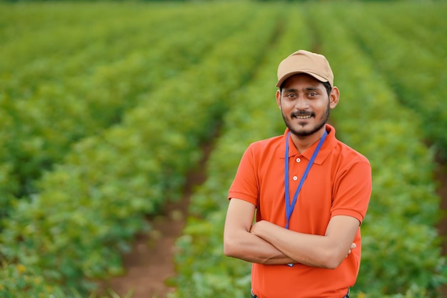 Jovem agrônomo indiano ou oficial de pé no campo de agricultura.