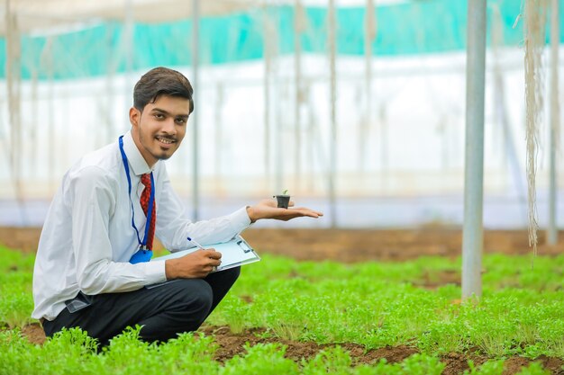 Jovem agrônomo indiano segurando uma pequena planta e coletando algumas informações na estufa
