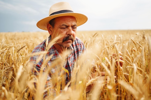 Jovem agrônomo no campo de grãos Agricultor no chapéu de palha em pé em um campo de trigo Agricultura de cereais