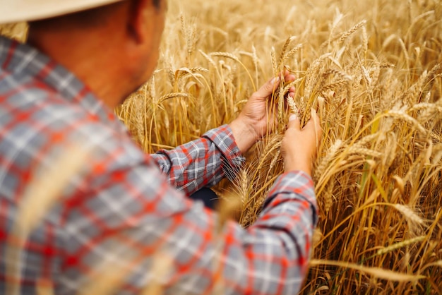 Jovem agrônomo no campo de grãos Agricultor no chapéu de palha em pé em um campo de trigo Agricultura de cereais