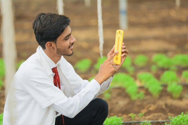 Jovem agrônomo observando em estufa