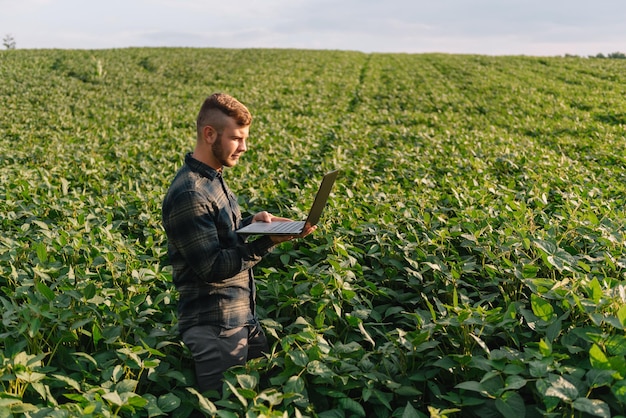 Jovem agrônomo segura o computador tablet touch pad no campo de soja e examina as colheitas antes da colheita. Conceito de agronegócio. engenheiro agrícola em pé em um campo de soja com um tablet no verão