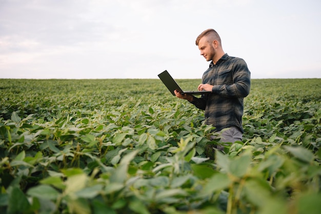 Jovem agrônomo segura o computador tablet touch pad no campo de soja e examina as colheitas antes da colheita. conceito de agronegócio. engenheiro agrícola em pé em um campo de soja com um tablet no verão